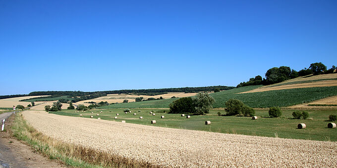 Felder und Wiesen im Bliesgau im Sommer